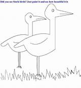 Birds Coloring Kids Stork Printable Pdf Open Print  sketch template