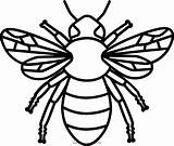 Abeja Biene Ausmalbilder Bee Clipartmax Ultracoloringpages sketch template