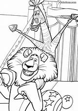 Madagascar Coloriages Colorions sketch template