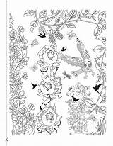 Coloring Pages Bird Choose Books Board Adult sketch template