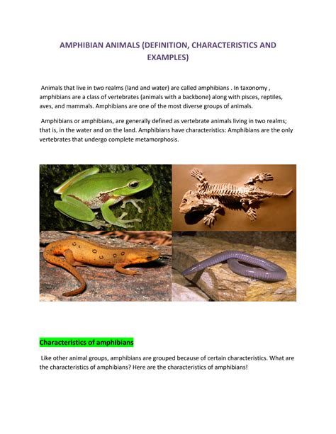 solution amphibian animals definition characteristics  examples