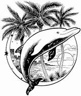 Dolfijnen Kleurplaat Kleurplaten Dolfijn Ausmalbilder Dolphin Delphin Delfines Ausmalbild Mandalas Dolphins Delfin Delfine Mewarnai Lumba Delphine Animierte Bergerak Animaatjes Delfini sketch template