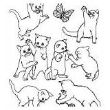 Groups Coloring Animals Kittens Playing Category sketch template