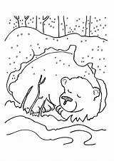 Kolorowanki Musim Roku Pory Zima Jahreszeiten Momjunction Polar Kleurplaten Zimą Afkomstig Halaman Kidipage Kertas Sejuk Mewarna Hibernate sketch template