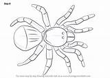 Spider Draw Trapdoor Drawing Step Arachnids Tutorial Improvements Necessary Finally Finish Make Tutorials sketch template