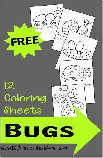 bug coloring pages insects preschool bug coloring pages bugs
