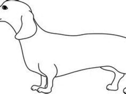 weiner dog coloring pages print coloring pages