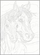 Number Color Numbers Coloring Pages Adult Horse Printable Dover Horses Books Haven Creative Publications Animal Book Print Welcome Alphabet Choose sketch template