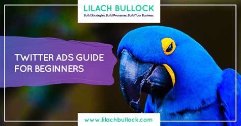 twitter ads guide  beginners types  ads    work