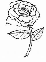 Coloring Pages Rose Roses Printable Getcoloringpages Flower Bouquet sketch template