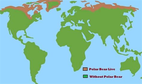 nations  polar bears lives habitat  polar bears