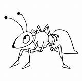 Formica Vector Bianco Colorare Fondo Outlined Isolated Whit Ants Traccia Isolato Graziosa Sveglia sketch template
