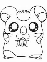 Hamster Coloring Pages Cute Printable Animal sketch template