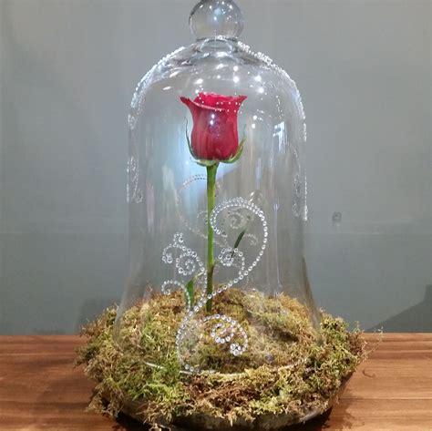 beauty   beast inspired rose dome fresh flowers  cheap