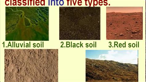 soils  india epub