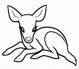 Deer Coloring Baby Pages Printable Kids Drawings Color Clipart Drawing Cute Easy Animals Animal Draw Cartoon Sketch Mule Popular Clipartpanda sketch template