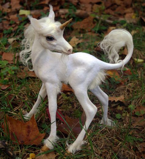 baby unicorn discovered