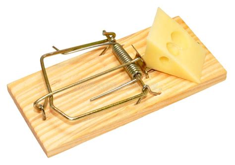 mouse trap  cheese isolated stock photo image  cheese