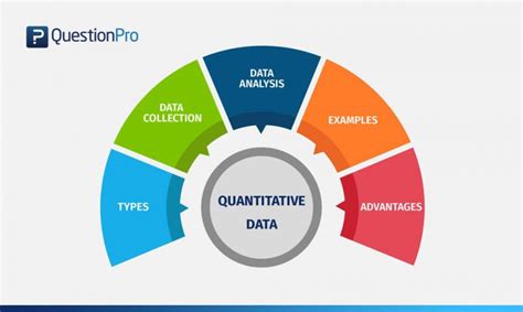 quantitative data definition types analysis  examples questionpro