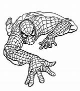 Spiderman Spider Sheets Kriecht Boden Pintar Vuole Climbing Colorare Ausmalbilder Procoloring sketch template