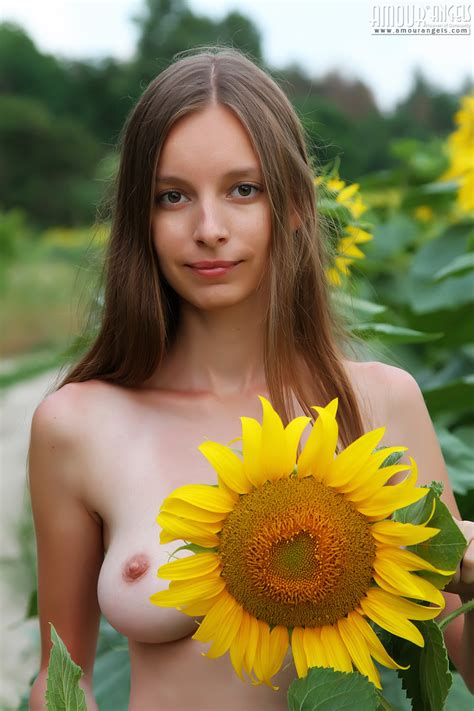 delicious teen with impressive breasts and hairy pussy taking off clothes among the sunflowers