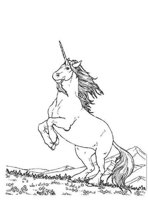 colouring unicorn coloring pages horse coloring pages coloring pages