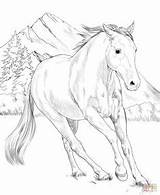 Ausmalbilder Pferde Realistic Supercoloring Kolorowanka Pferd Ausmalen Americano Koń Vorlagen Cavalos Malvorlage Magic sketch template