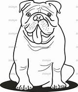 Bulldogs Kleurplaat Puppy Bull Makkelijk Getdrawings Hond Bulldogge Ausmalbilder Anglais sketch template