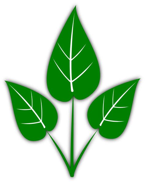 clipart leaves