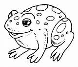 Toad Frog Coloring Pages Kids sketch template