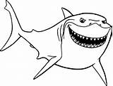 Shark Drawing Nemo Finding Coloring Head Pages Bruce Disney Printable Paintingvalley sketch template