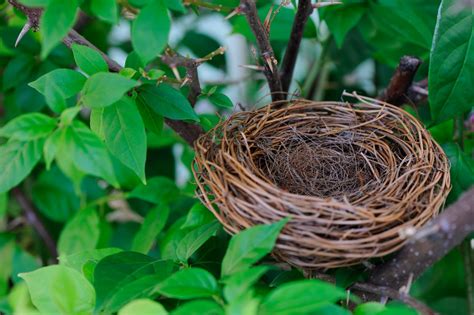 the empty nest marriage deciding whether to stay or go the