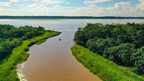 rio amazonas cumple  anos como maravilla natural del mundo