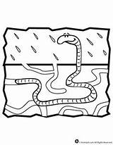 Coloring Worm Underground Pages Animal Worms Kids Animals Garden Activities Designlooter Eco Preschool Letter Crafts Jr Woo 305px 74kb Popular sketch template