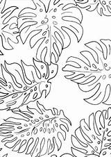 Monstera sketch template