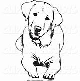 Labrador Retriever Chien Hund Hond Kleurplaat Hunde Tegninger Perro Cachorro Curious Tegning Pitbull Boxer Ilustração Desenho Clipartmag Nemme Honden Tekeningen sketch template