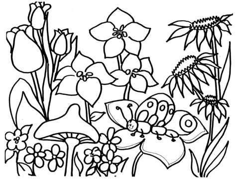 flower garden coloring page book  kids