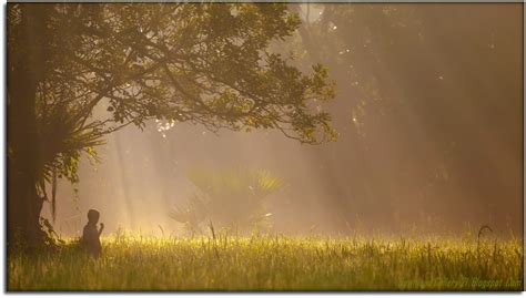 sunrise of bangladesh winter morning desktop picture