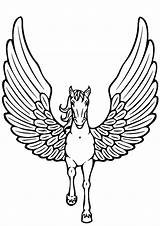 Unicornios Pegasus Unicornio sketch template