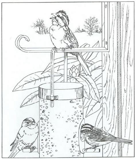bird feeder coloring page  svg png eps dxf  zip file