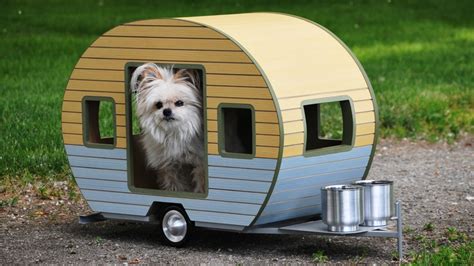 canine design vancouver firm selling  dog trailers ctv news