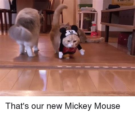 Search Mickey Mouse And Minnie Mouse Memes On Me Me