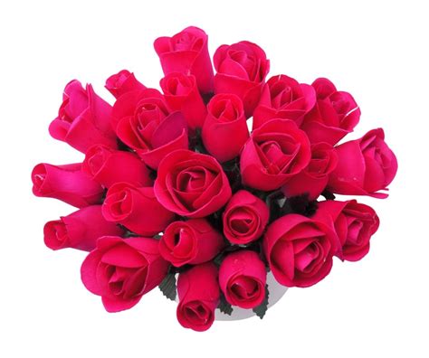 cheap ivy roses find ivy roses deals on line at