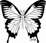 Papillon Coloriage Coloriages Skull Source Clker sketch template