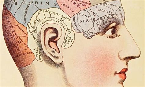 The Story Of Our Brains Podcast Podcasts Neuroscience Story