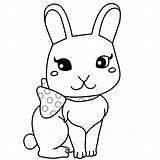 Conejos Dibujos Bunnies Anipedia Bunny sketch template