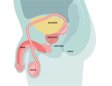 interstitial cystitis treatment with ruth kriz