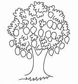 Albero Alberi Drzewo Cytrynowe Frutta Disegno Frutto Pourfemme Salvato Clipground Kolorowanka Malowankę Wydrukuj sketch template