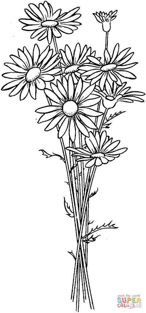 daisies coloring page supercoloringcom flower coloring pages