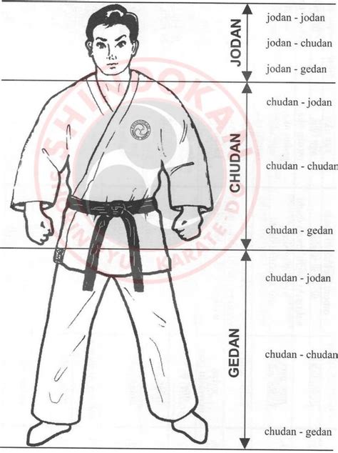 shorin ryu kata treino de artes marciais karate shotokan treino de